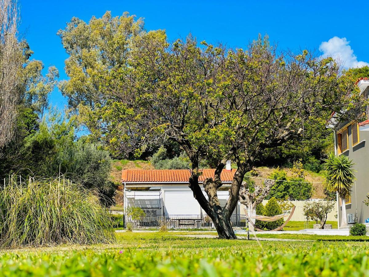 Gazonia Family Estate Skala (Kefalonia) Exterior foto